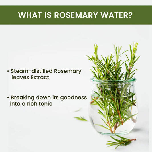 Alps Rosemary Hair spray[100ml] Pack of TWO